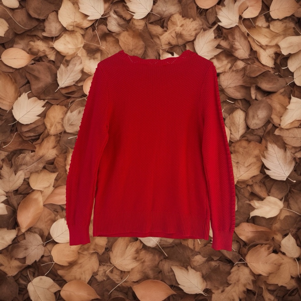 LOFT Scalloped Neck 100% Cotton Popcorn Knit Red Sweater Size S